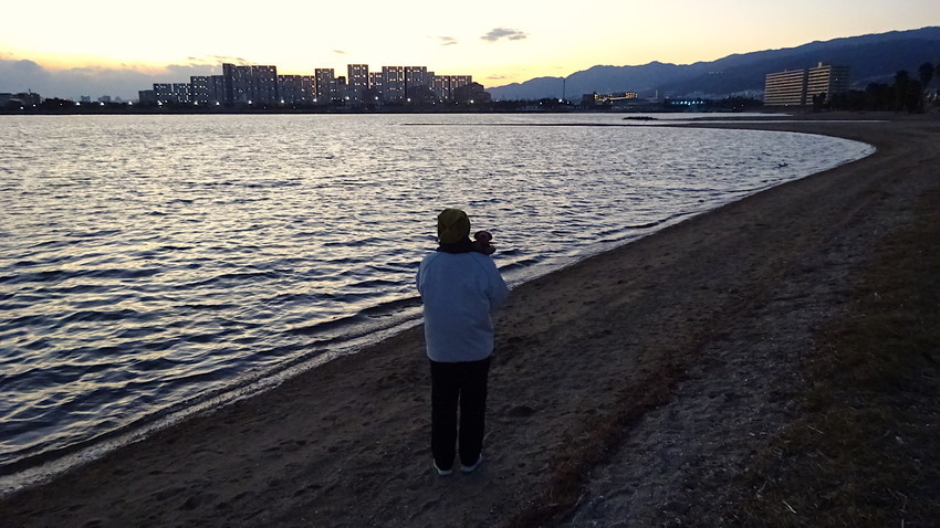 f:id:shioshiohida:20210102172001j:plain