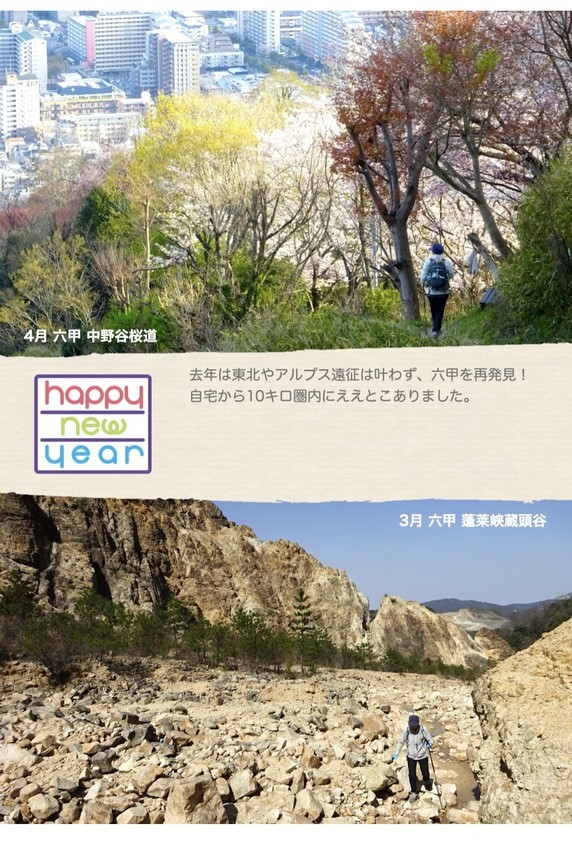 f:id:shioshiohida:20210102235820j:plain