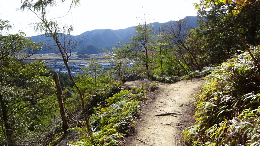 f:id:shioshiohida:20210106124442j:plain