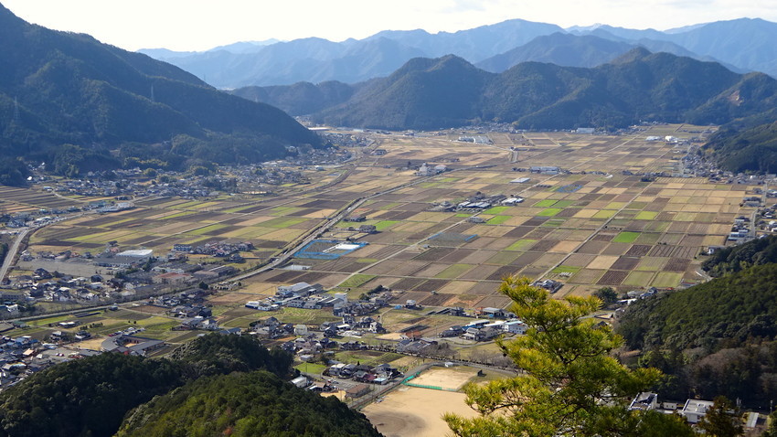 f:id:shioshiohida:20210106131149j:plain