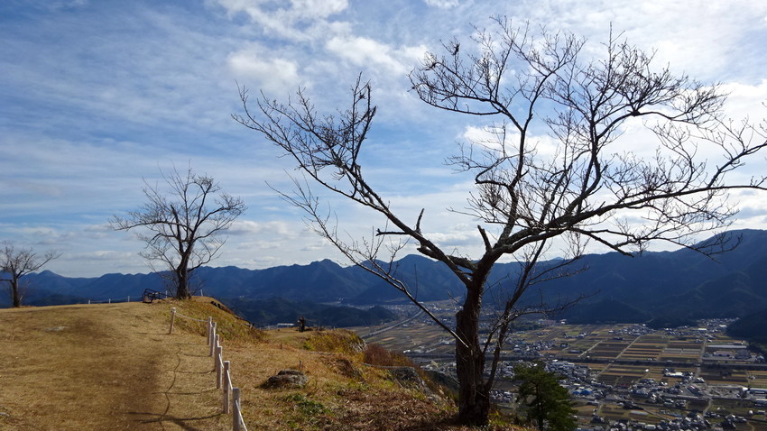 f:id:shioshiohida:20210106131830j:plain