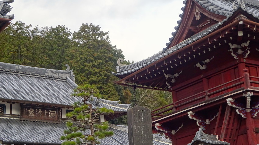 f:id:shioshiohida:20210106142252j:plain