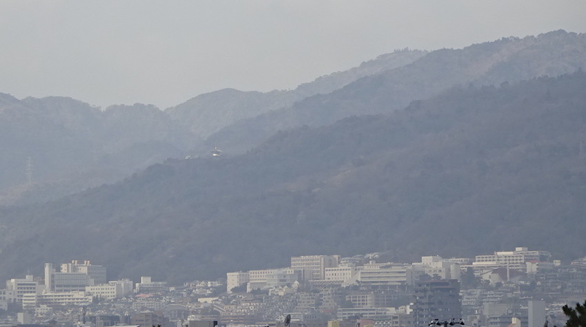 f:id:shioshiohida:20210116111036j:plain