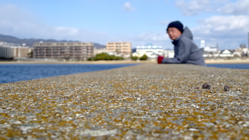 f:id:shioshiohida:20210129114217j:plain