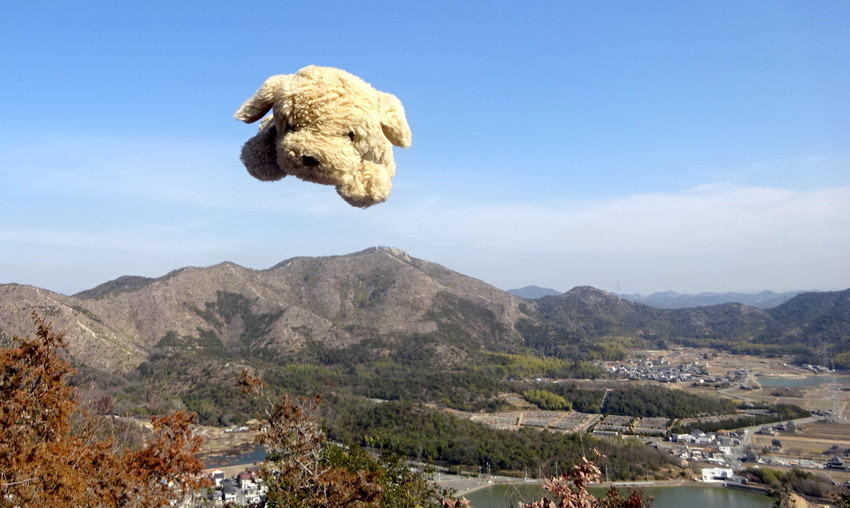 f:id:shioshiohida:20210205122146j:plain