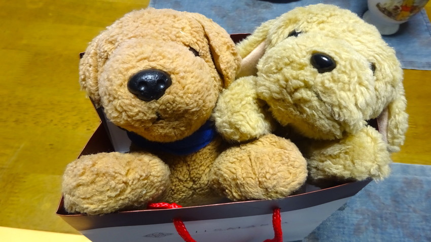 f:id:shioshiohida:20210214215301j:plain