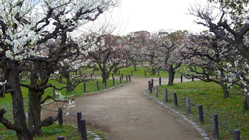 f:id:shioshiohida:20210218160211j:plain