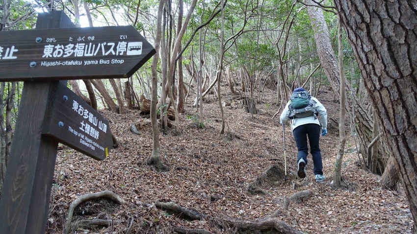 f:id:shioshiohida:20210219124708j:plain