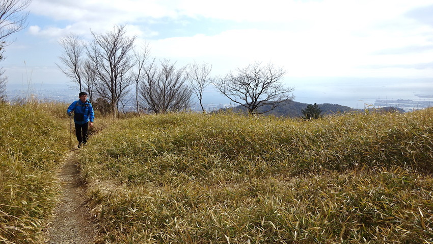 f:id:shioshiohida:20210219131027j:plain