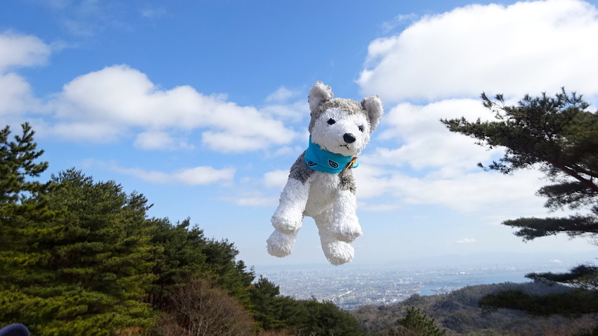f:id:shioshiohida:20210219134935j:plain