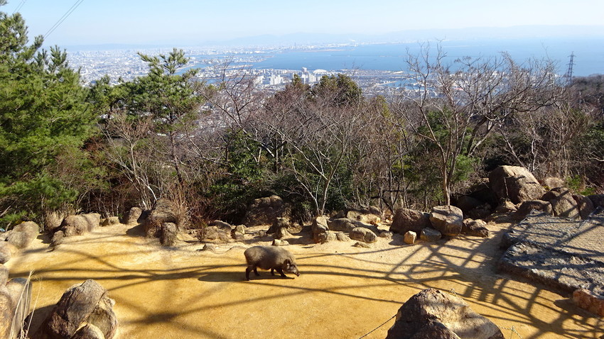 f:id:shioshiohida:20210219144841j:plain