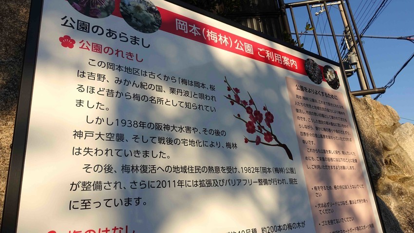 f:id:shioshiohida:20210219165100j:plain