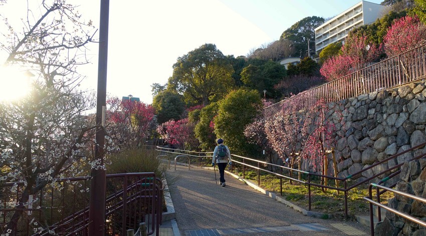 f:id:shioshiohida:20210219165154j:plain