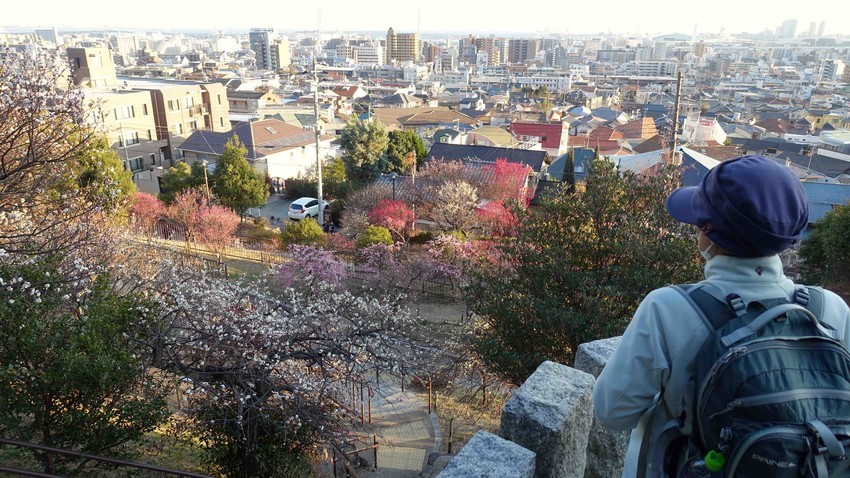 f:id:shioshiohida:20210219170308j:plain