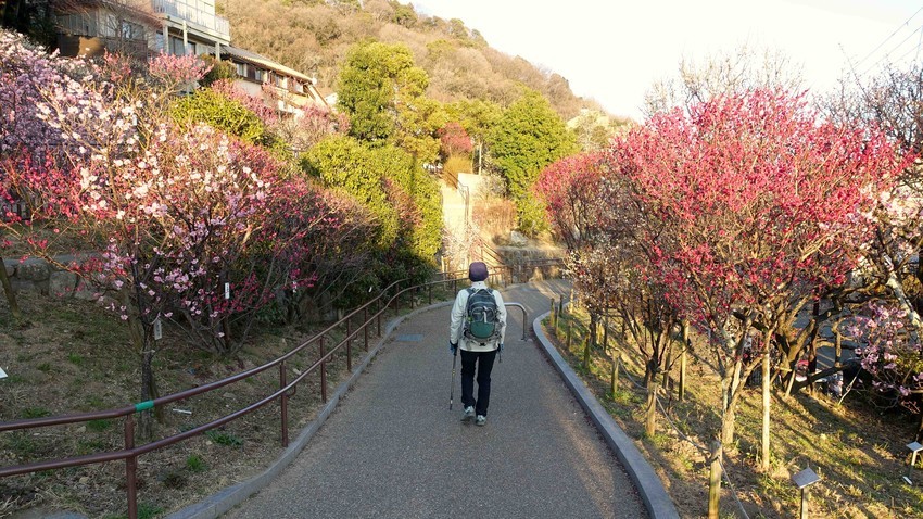 f:id:shioshiohida:20210219170640j:plain