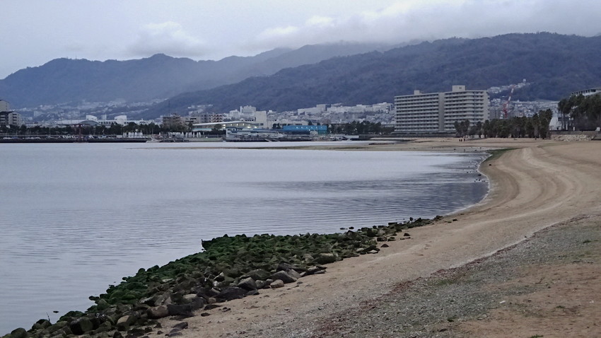 f:id:shioshiohida:20210305174643j:plain