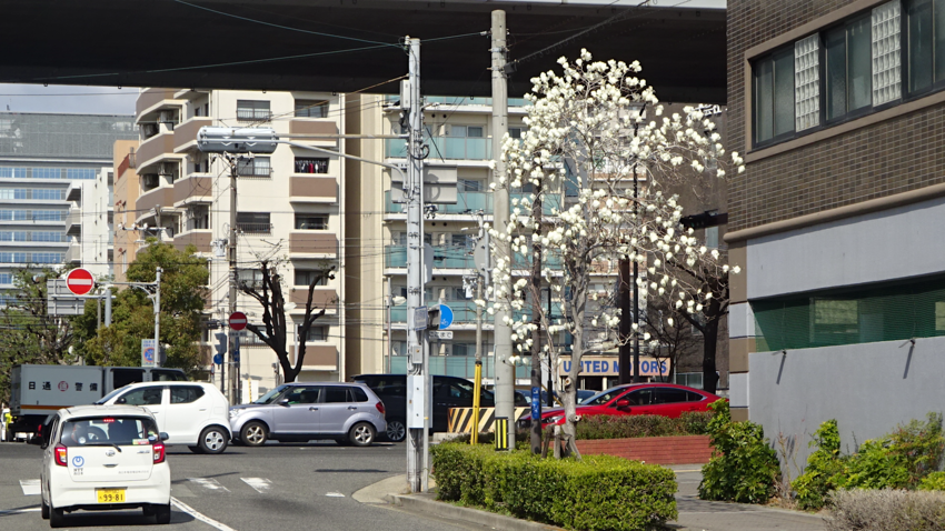 f:id:shioshiohida:20210308230519p:plain