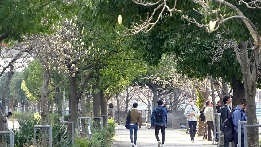 f:id:shioshiohida:20210310141144j:plain