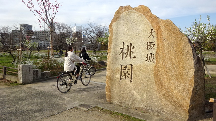 f:id:shioshiohida:20210311155758j:plain