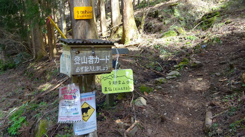 f:id:shioshiohida:20210319105557j:plain