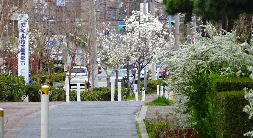 f:id:shioshiohida:20210322113227j:plain