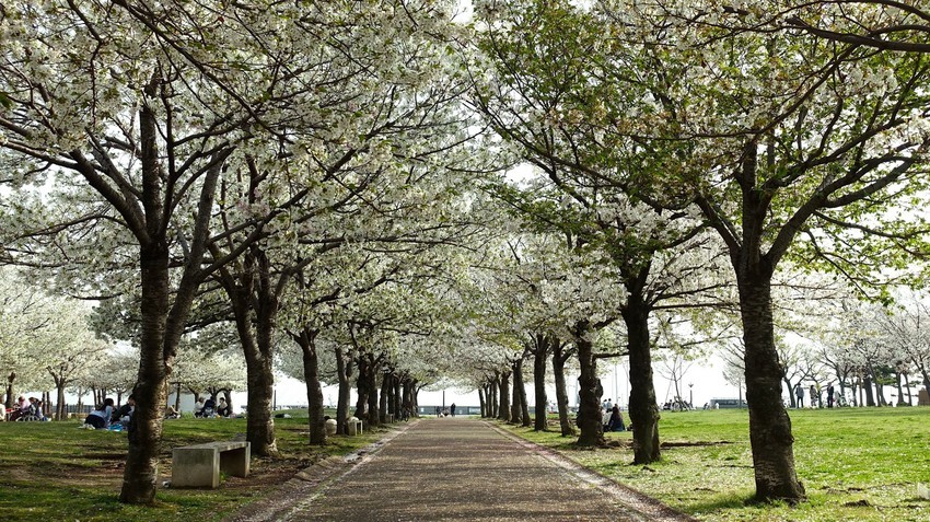 f:id:shioshiohida:20210329232145j:plain