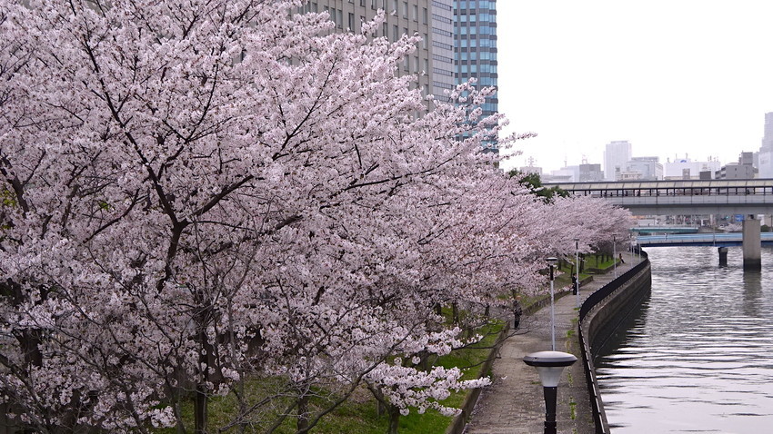 f:id:shioshiohida:20210330144811j:plain