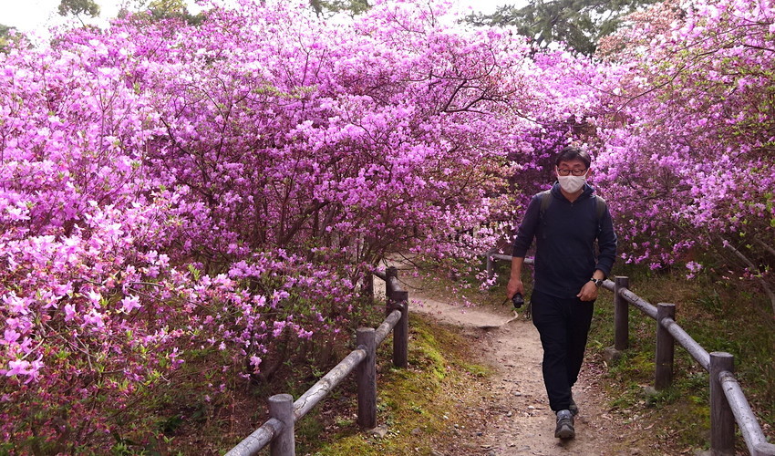 f:id:shioshiohida:20210402150508j:plain