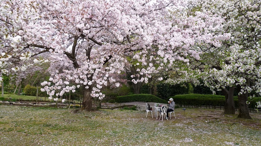 f:id:shioshiohida:20210402233116j:plain