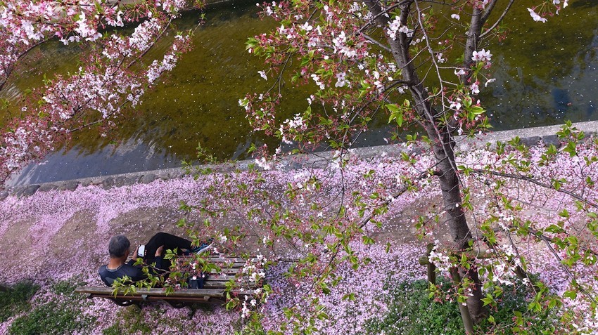 f:id:shioshiohida:20210405112709j:plain