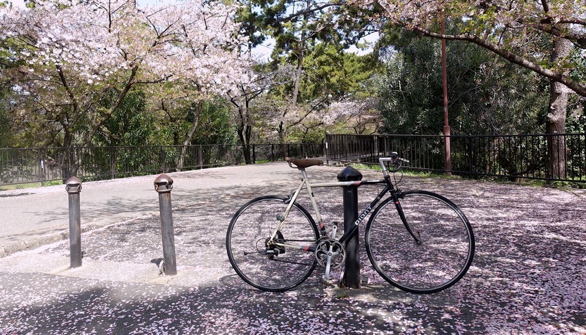 f:id:shioshiohida:20210405112721j:plain