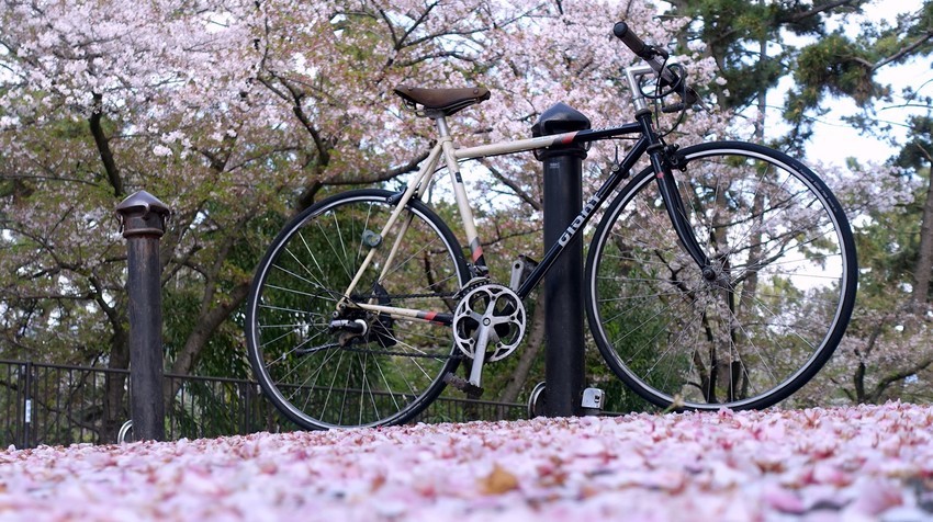 f:id:shioshiohida:20210405112726j:plain