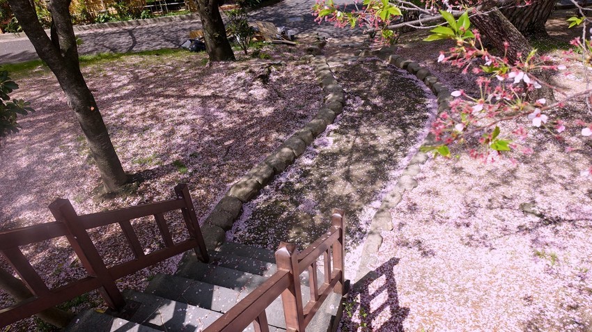 f:id:shioshiohida:20210405112947j:plain