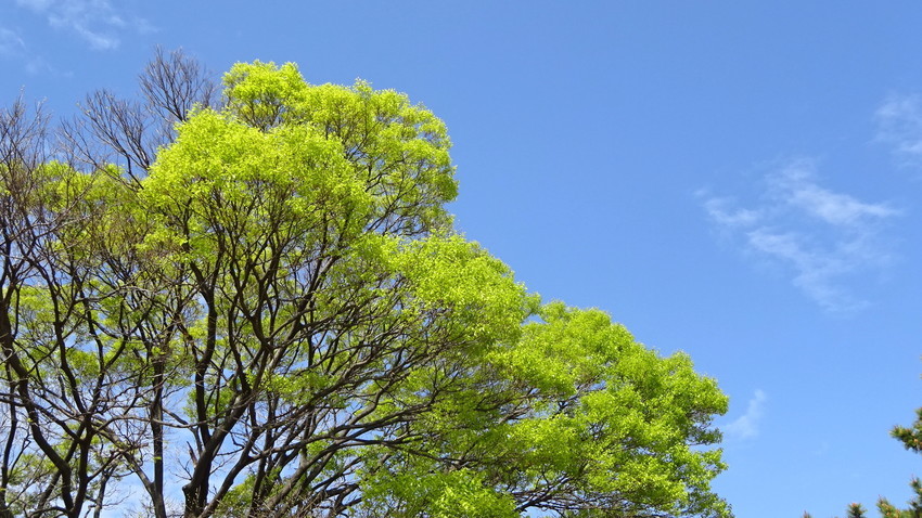 f:id:shioshiohida:20210406100338j:plain
