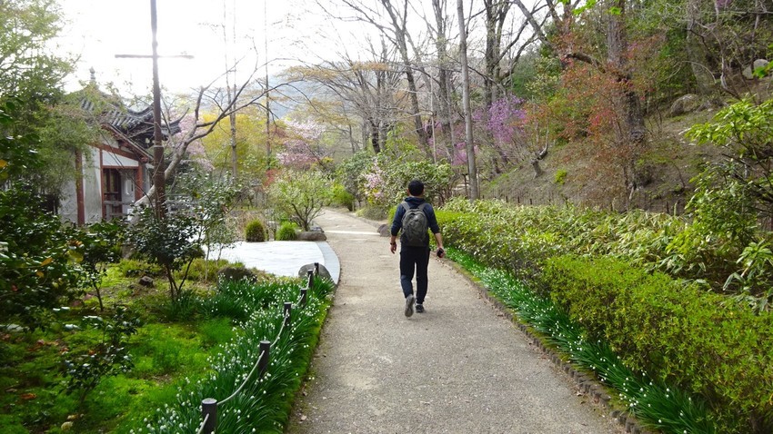 f:id:shioshiohida:20210406125053j:plain