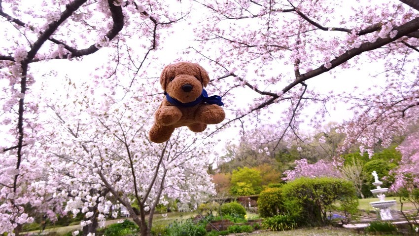 f:id:shioshiohida:20210406125059j:plain