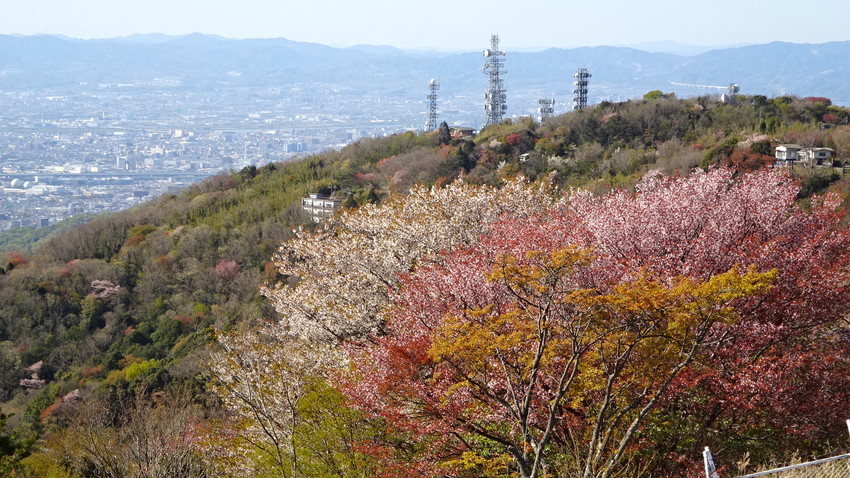 f:id:shioshiohida:20210410154805j:plain