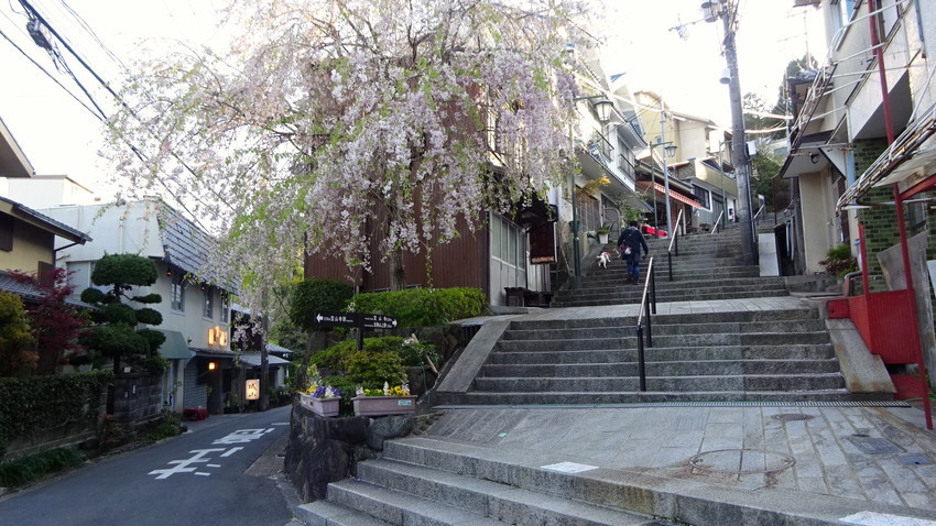 f:id:shioshiohida:20210410164757j:plain
