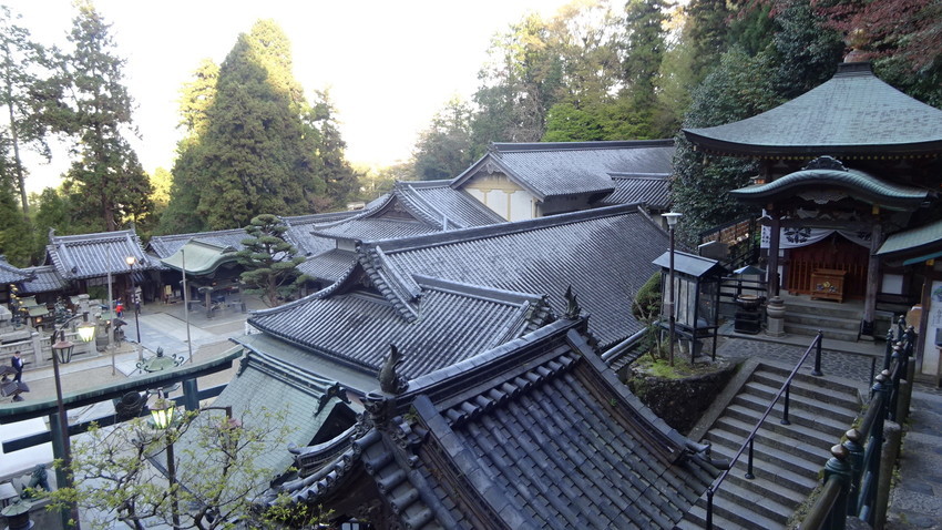 f:id:shioshiohida:20210410170052j:plain