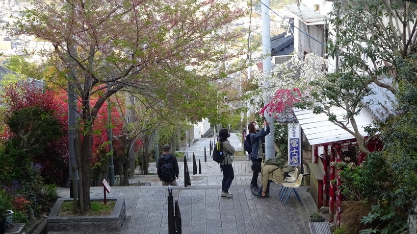 f:id:shioshiohida:20210410173828j:plain