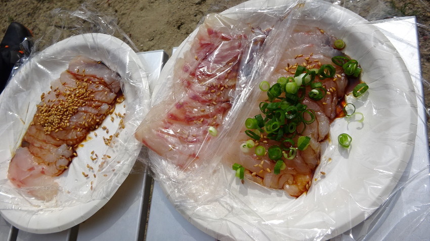 f:id:shioshiohida:20210415145621j:plain