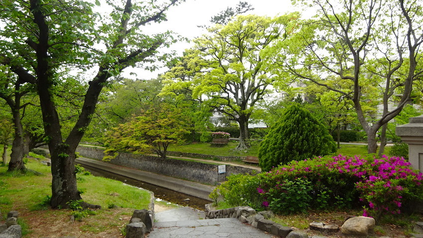 f:id:shioshiohida:20210416114236j:plain