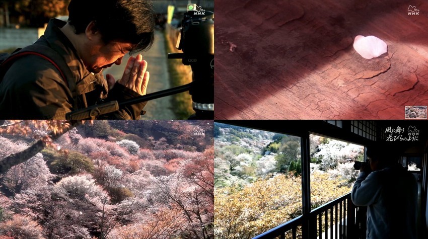 f:id:shioshiohida:20210417231432j:plain