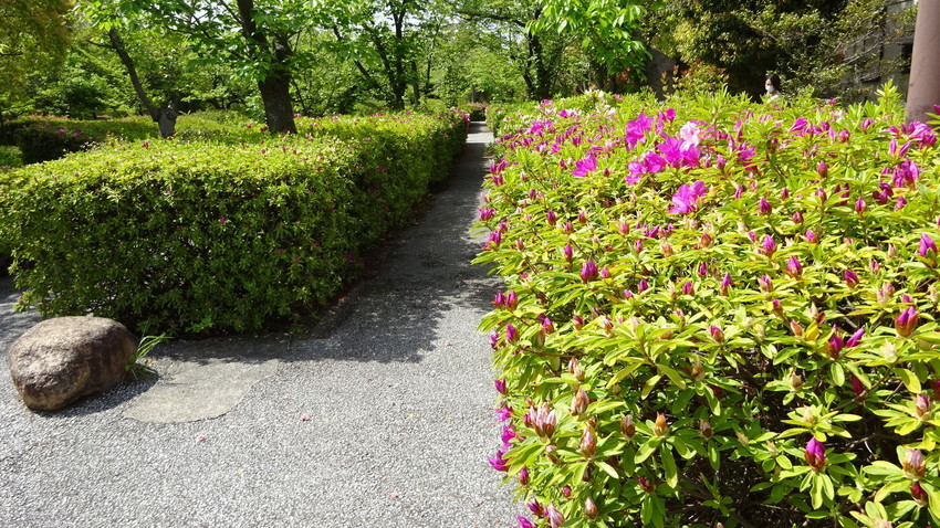 f:id:shioshiohida:20210418102011j:plain