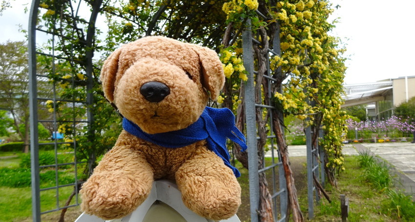 f:id:shioshiohida:20210418103446j:plain