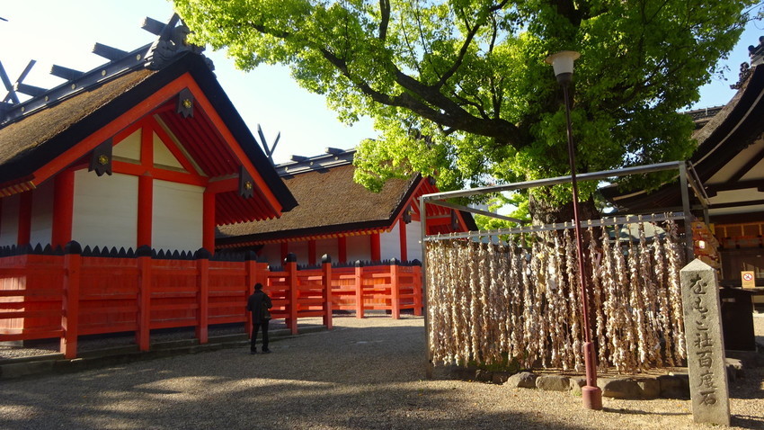 f:id:shioshiohida:20210422162118j:plain