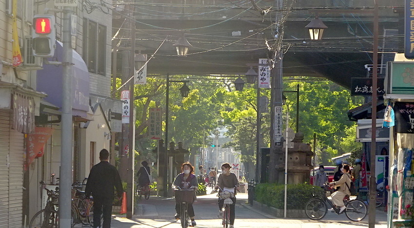 f:id:shioshiohida:20210422165456j:plain
