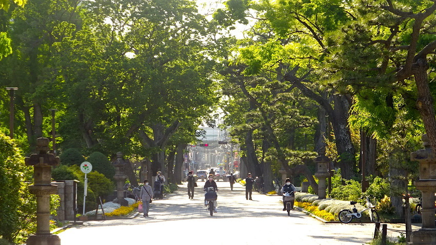 f:id:shioshiohida:20210422165855j:plain