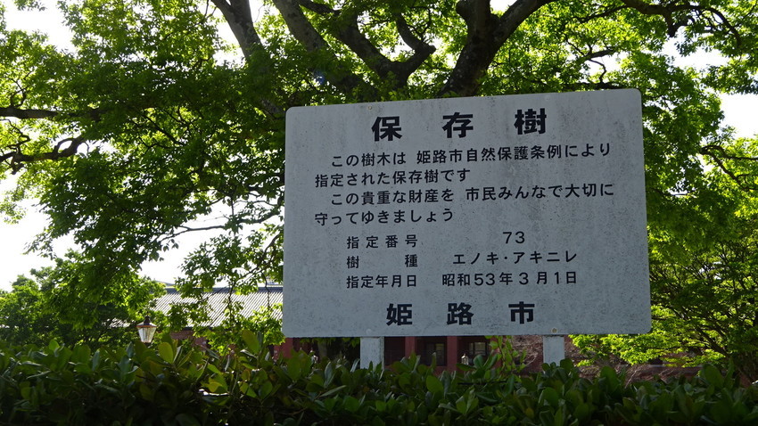 f:id:shioshiohida:20210426153745j:plain