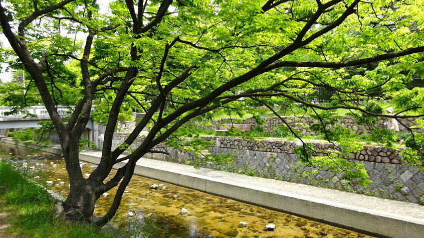 f:id:shioshiohida:20210511112948j:plain